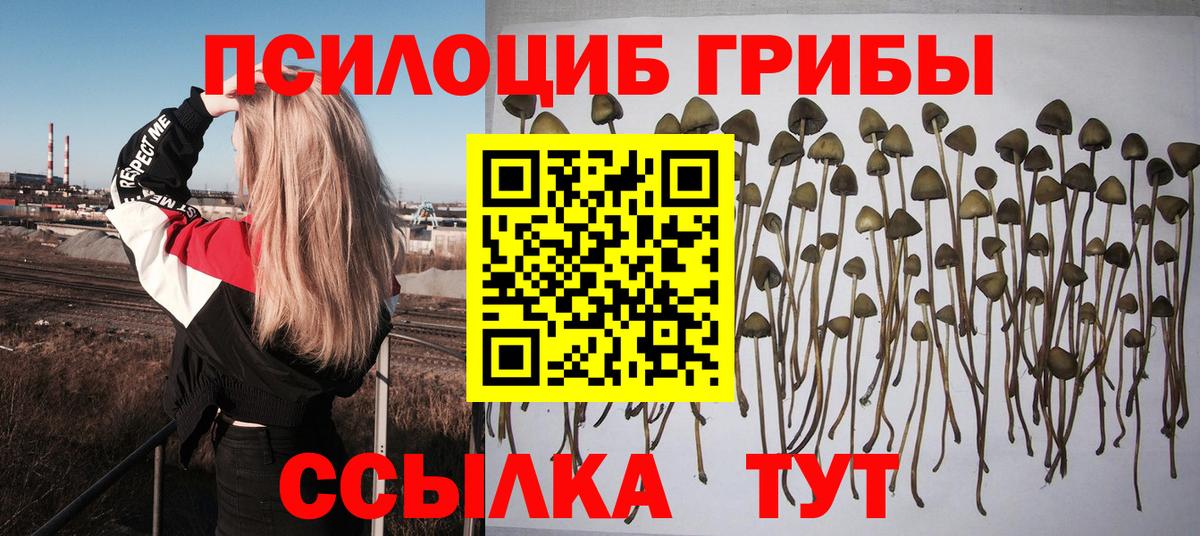 Клин  Псилоцибиновые грибы MAGIC MUSHROOMS  Псилоцибиновые грибы Magic Shrooms  Вход с VPN 