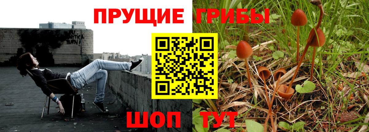 Псилоцибиновые грибы мухоморы Клин