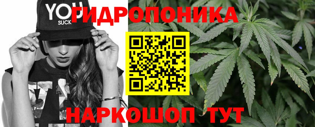 Бошки марихуана планчик Клин